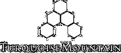 Turqoise Mountain logo